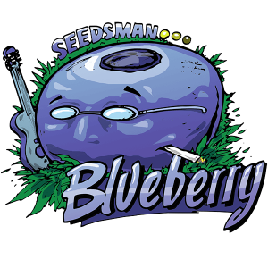 Blueberry Feminised Seeds