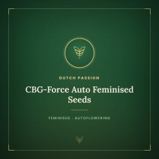 CBG-Force Auto Feminised Seeds CBG-Force Auto Feminised Seeds