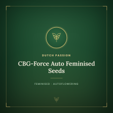 CBG-Force Auto Feminised Seeds CBG-Force Auto Feminised Seeds