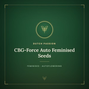 CBG-Force Auto Feminised Seeds