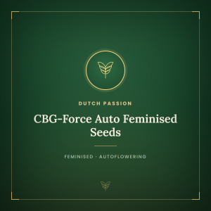 CBG-Force Auto Feminised Seeds CBG-Force Auto Feminised Seeds
