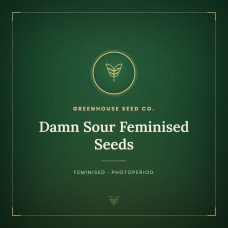 Damn Sour Feminised Seeds Damn Sour Feminised Seeds