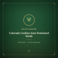 Colorado Cookies Auto Feminised Seeds Colorado Cookies Auto Feminised Seeds