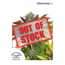 Californian Orange Feminised Seeds Californian Orange Feminised Seeds