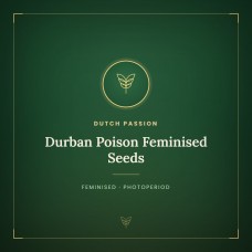 Durban Poison Feminised Seeds