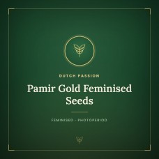 Pamir Gold Feminised Seeds