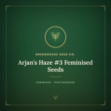 Arjan's Haze #3 Feminised Seeds Arjan's Haze #3 Feminised Seeds