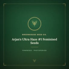 Arjan's Ultra Haze #1 Feminised Seeds Arjan's Ultra Haze #1 Feminised Seeds