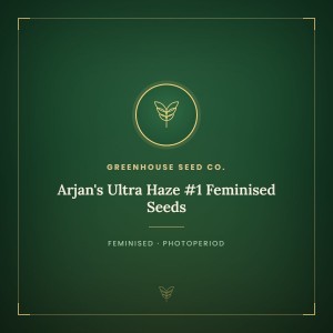 Arjan's Ultra Haze #1 Feminised Seeds