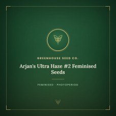 Arjan's Ultra Haze #2 Feminised Seeds Arjan's Ultra Haze #2 Feminised Seeds