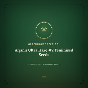 Arjan's Ultra Haze #2 Feminised Seeds