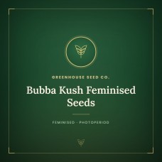 Bubba Kush Feminised Seeds Bubba Kush Feminised Seeds