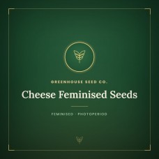 Cheese Feminised Seeds Cheese Feminised Seeds