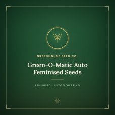 Green-O-Matic Auto Feminised Seeds