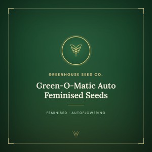 Green-O-Matic Auto Feminised Seeds