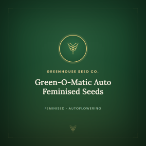 Green-O-Matic Auto Feminised Seeds Green-O-Matic Auto Feminised Seeds