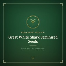 Great White Shark Feminised Seeds Great White Shark Feminised Seeds