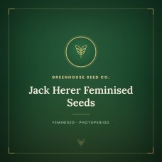 Jack Herer Feminised Seeds Jack Herer Feminised Seeds