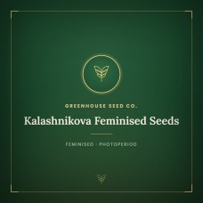 Kalashnikova Feminised Seeds