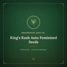 King's Kush Auto Feminised Seeds King's Kush Auto Feminised Seeds