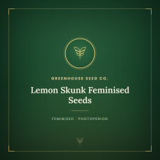 Lemon Skunk Feminised Seeds