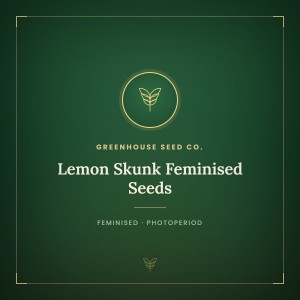 Lemon Skunk Feminised Seeds Lemon Skunk Feminised Seeds
