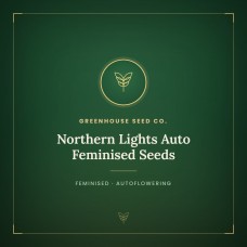 Northern Lights Auto Feminised Seeds Northern Lights Auto Feminised Seeds