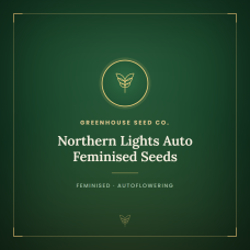 Northern Lights Auto Feminised Seeds