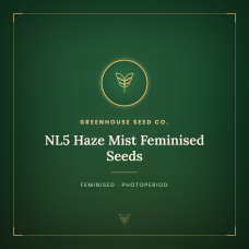NL5 Haze Mist Feminised Seeds
