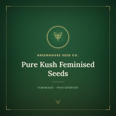 Pure Kush Feminised Seeds Pure Kush Feminised Seeds