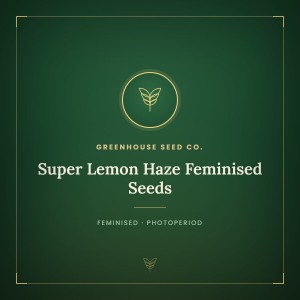Super Lemon Haze Feminised Seeds