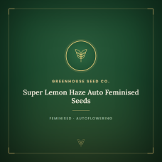 Super Lemon Haze Auto Feminised Seeds