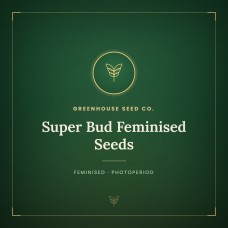 Super Bud Feminised Seeds Super Bud Feminised Seeds