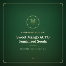 Sweet Mango AUTO Feminised Seeds Sweet Mango AUTO Feminised Seeds