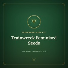 Trainwreck Feminised Seeds Trainwreck Feminised Seeds