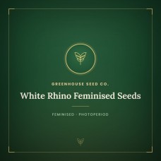 White Rhino Feminised Seeds