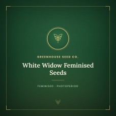 White Widow Feminised Seeds White Widow Feminised Seeds