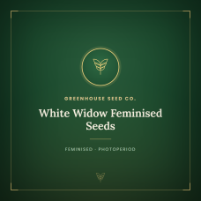 White Widow Feminised Seeds