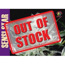 Sensi Star Feminised Seeds Sensi Star Feminised Seeds