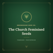 The Church Feminised Seeds