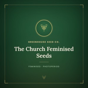 The Church Feminised Seeds The Church Feminised Seeds
