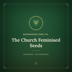 The Church Feminised Seeds The Church Feminised Seeds